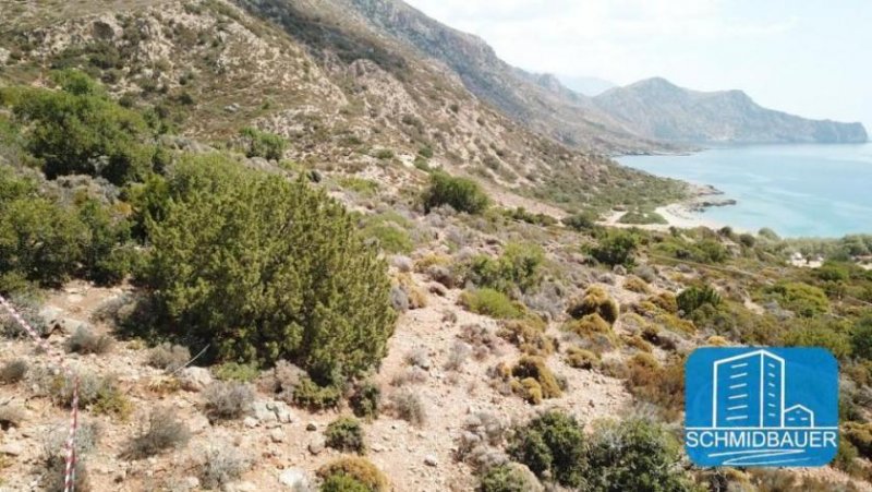 Paleochora Kreta, Paleochora: Grundstück direkt am Meer mit herrlichem Meerblick auf das Libysche Meer zu verkaufen Grundstück kaufen